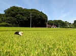 IMAG0388.jpg