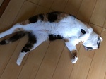 IMAG1241.jpg